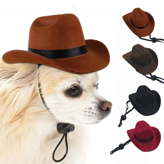 dog in cowboy hat secure with adjustable string under chin